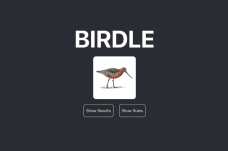 Birdle Game